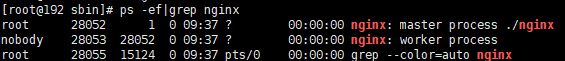 神器 nginx 的学习手册（建议收藏）