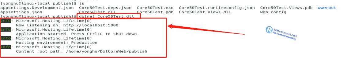 NET Core部署到linux最全解决方案，常规篇