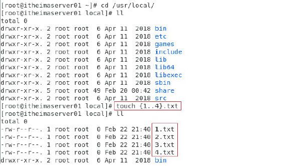 Linux入门，Linux入门教程：Linux文件管理