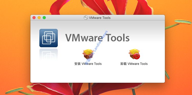 「图文教程」 通过VM快速安装macOS Catalina (10.15)版虚拟机