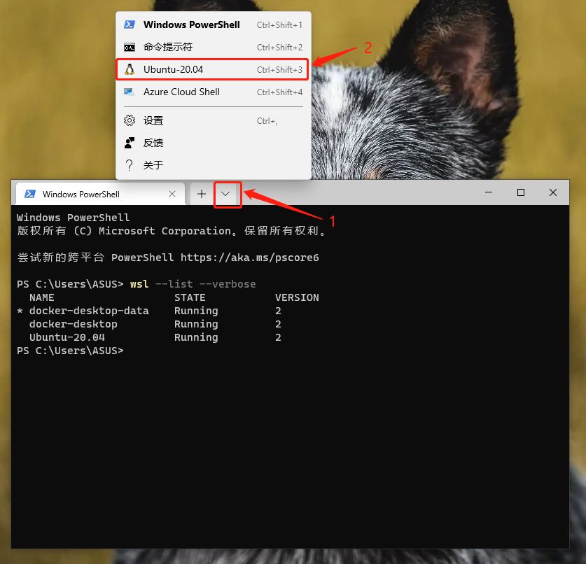 在 Windows Terminal 中启动 Ubuntu