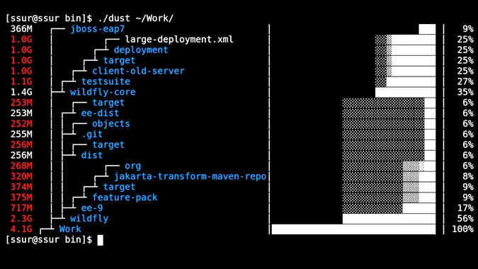 Dust output from a specific directory