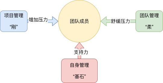 入门技术管理者的思考