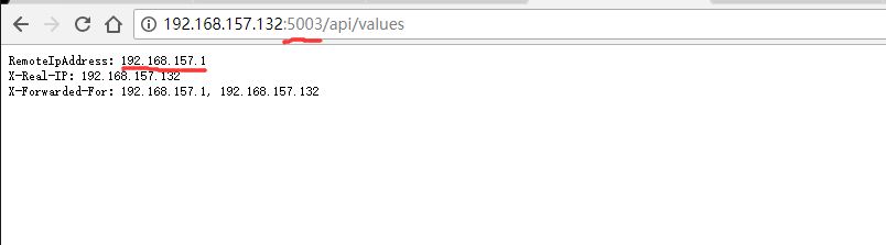 ASP.NET Core 搭配 Nginx 的真实IP问题