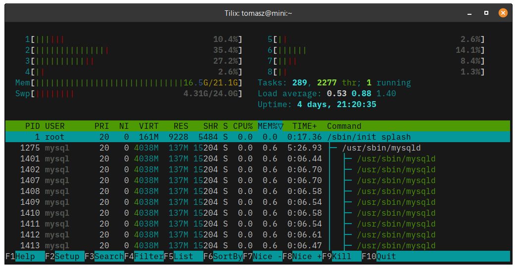 Memory usage using htop