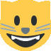 :smiley_cat: