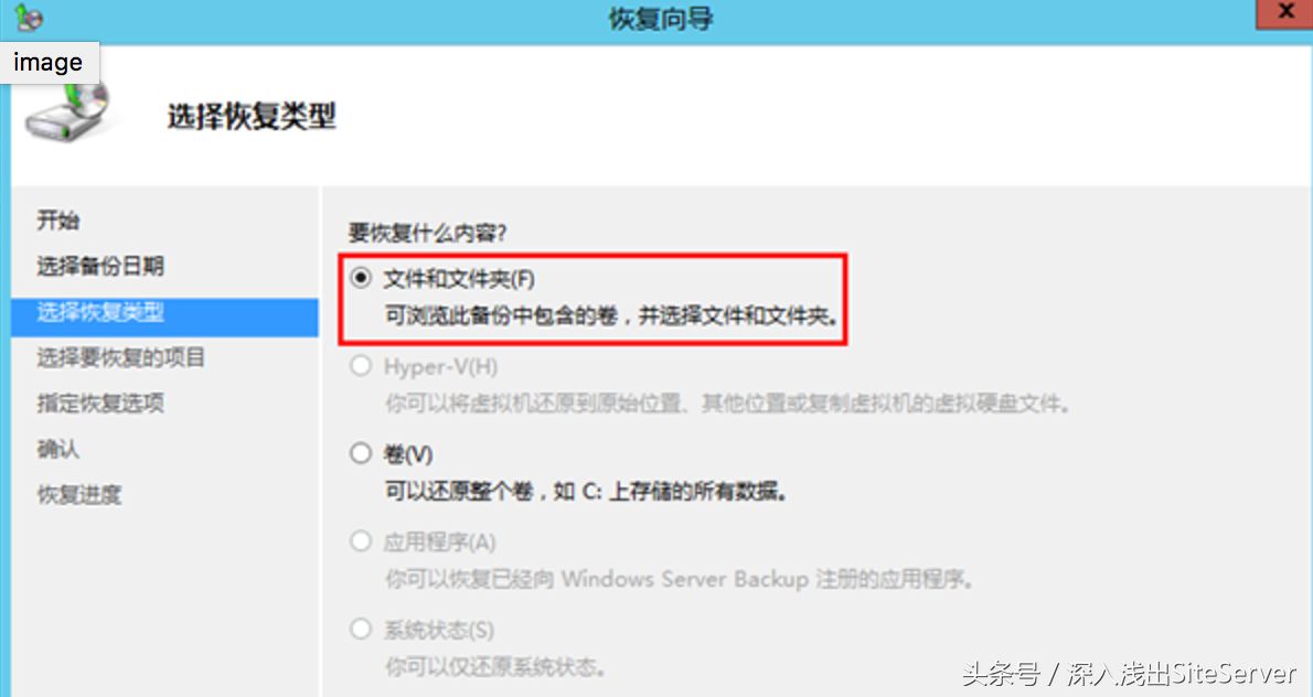 SiteServer CMS 一种万能备份与恢复的方案