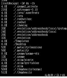 我在学linux——（必学命令）磁盘、文件相关基础实操篇（简单、方便、易记）父亲节特别篇