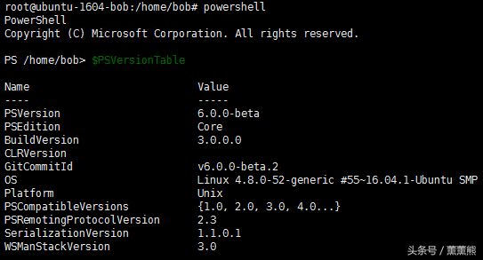 Ubuntu PowerShell 小白入门教程