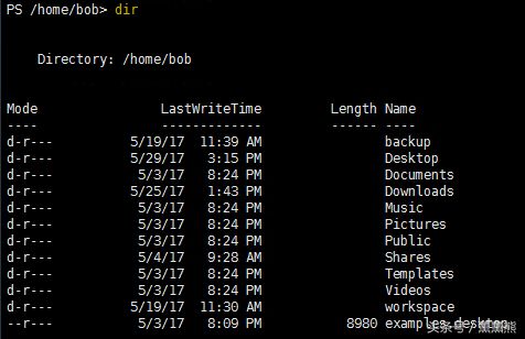 Ubuntu PowerShell 小白入门教程