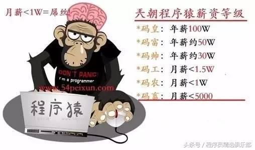 程序员高手和菜鸟的区别是什么？