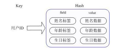 Redis 入门