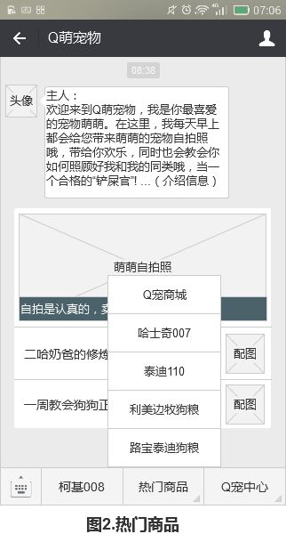 Q萌宠物产品需求文档