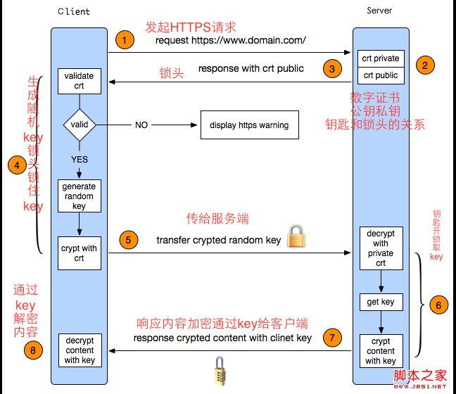 HTTP协议基础