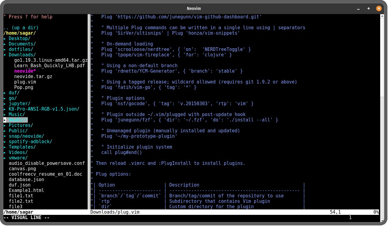 neovim Qt