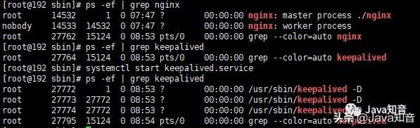 就是要让你搞懂Nginx，这篇就够了