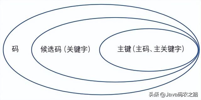 MySQL中的索引和其两种引擎、主从复制以及关系型/非关系型数据库