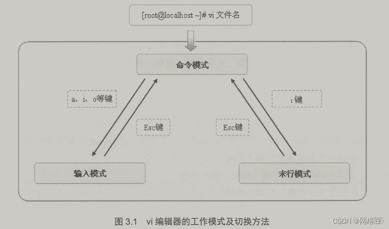 Linux系列 使用vi文本编辑器_服务器